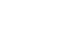 bnrhalf_section01_text